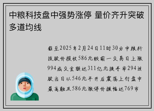 中粮科技盘中强势涨停 量价齐升突破多道均线