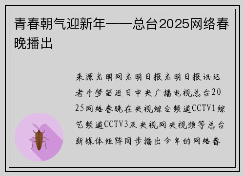 青春朝气迎新年——总台2025网络春晚播出